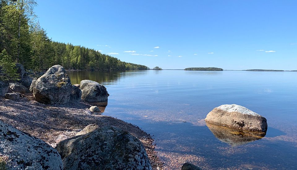 Leade-palvelut yrityksille
