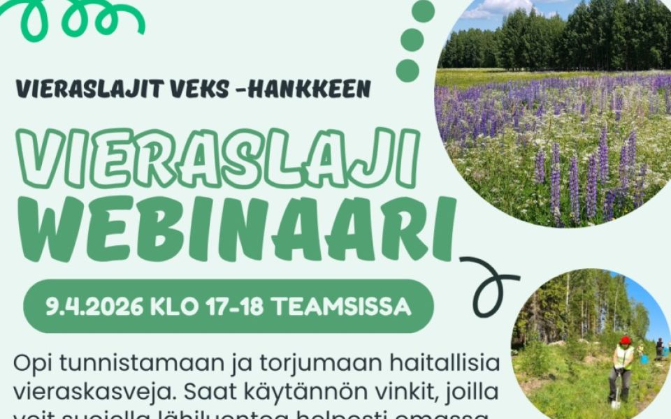 Vieraslajit veks! - webinaari vieraskasvien torjunnasta 9.4.2026